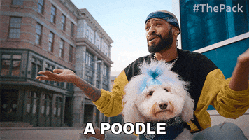 The Pack Dogs GIF by Amazon Prime Video