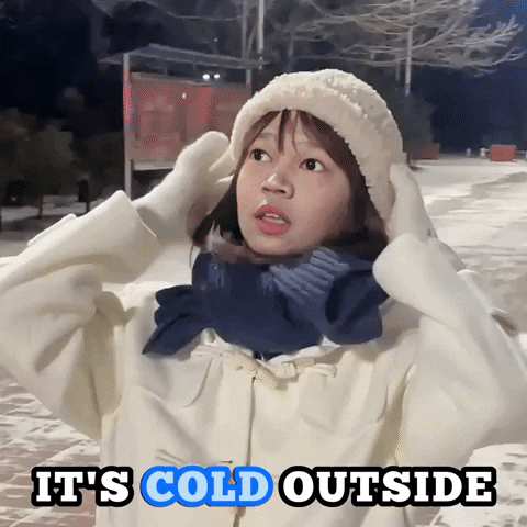 Its Cold Outside Snow GIF