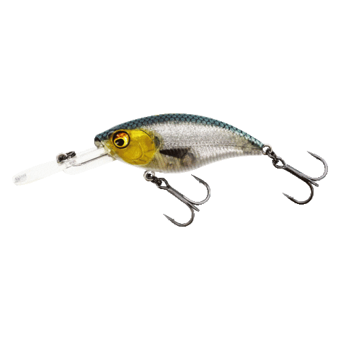 Westin Fishing Sticker
