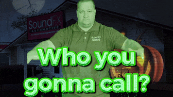 Who You Gonna Call Phone GIF by Sound FX