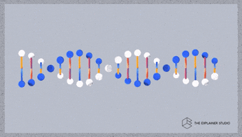 Double Helix Animation GIF by The Explainer Studio