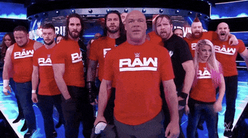 The Shield Sport GIF by WWE