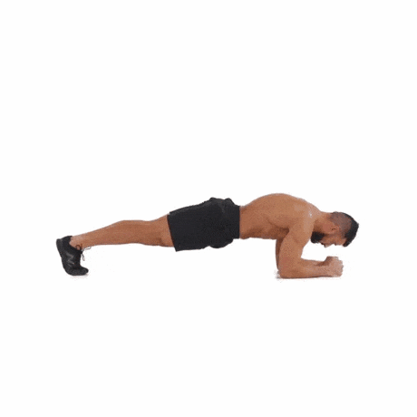 Plank GIF