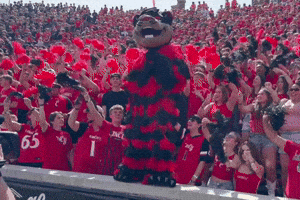 College Football Dance GIF by Bearcat