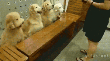 lunch eating GIF