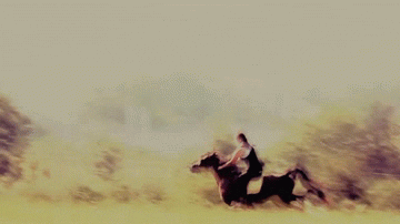 horseback riding GIF
