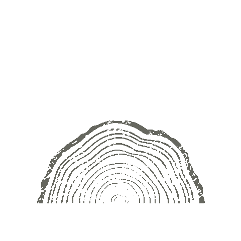 Corner Tree Cafe Sticker