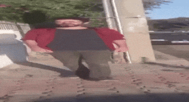 Meme GIF