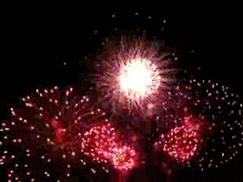 4Th Of July Fireworks GIF
