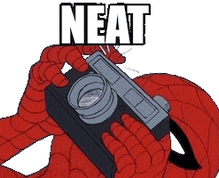 Spider-Man Photo Sticker by De Spidey vo Winti