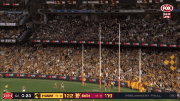 Brisbane Lions Winner GIF