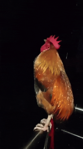 Sad Depression GIF
