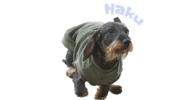 Sticker by infkennel