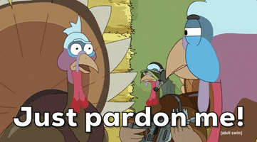 Season 5 Episode 6 GIF by Rick and Morty