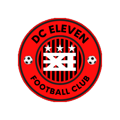 DCXI Sticker