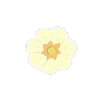 Illustration Strawberry Sticker
