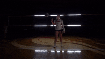MSUMDragons volleyball dragons cleveland msum GIF