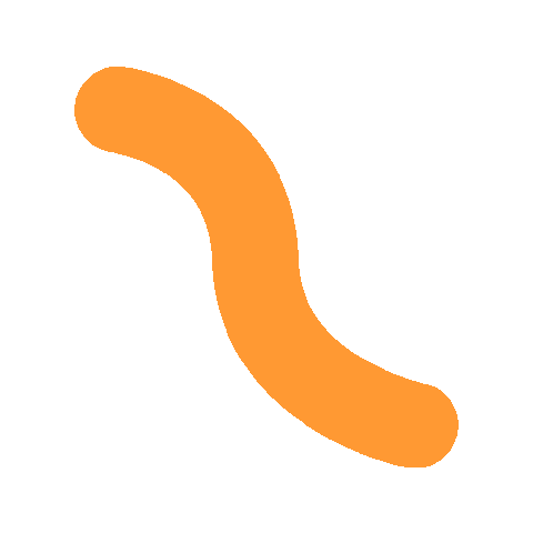 De Nieuwe Zaak Sticker