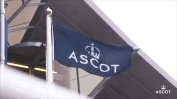 Horse Racing Wave GIF by Ascot Racecourse