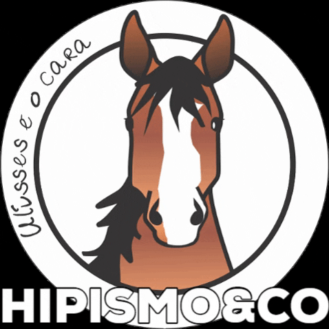 JotaDesign horse cavalo hipismo hipismoeco GIF