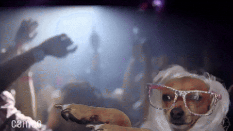 Join The Gif Battle Page 396 King Community Join The Gif Battle Page 396 King Community