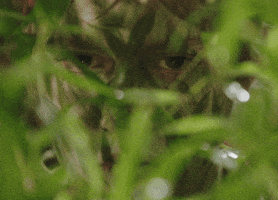 Kid Spying GIF by VPRO
