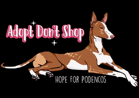 Hope For Podencos GIF