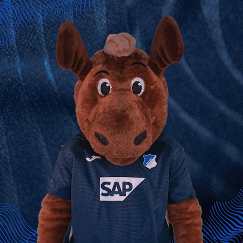 Sport Bundesliga GIF by TSG Hoffenheim