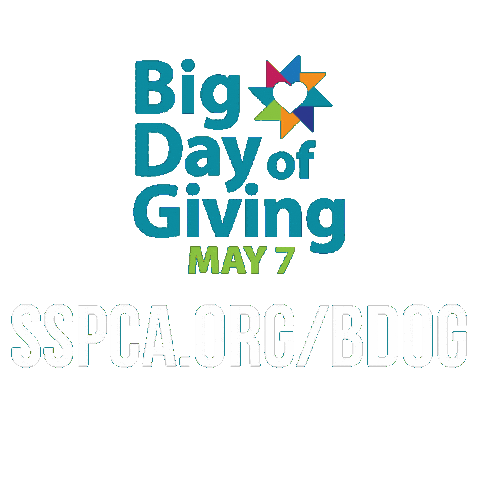 Big Dog Sticker by Sacramento SPCA