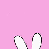 Happy Birthday GIF by Simon Super Rabbit