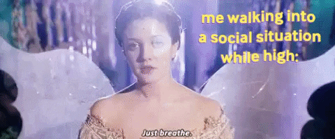 Meme GIF