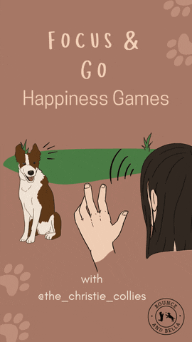 Dog Treats GIF