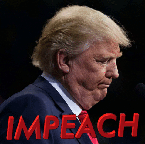 impeach impeach trump impeach the pres GIF