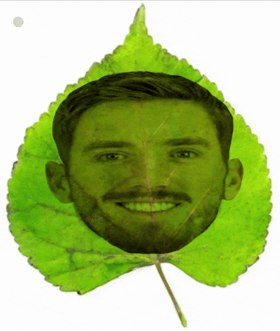 Basketball Maccabi GIF