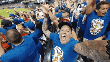 Mets Lfgm GIF by The 7 Line