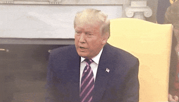 Donald Trump Hoax GIF