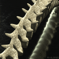3D Skeleton GIF by Pi-Slices