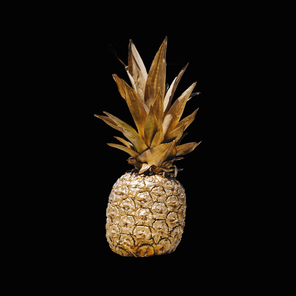 Pineapple Clothing GIF Find & Share on GIPHY