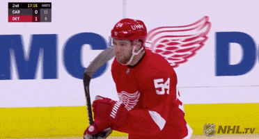 Ice Hockey Sport GIF by Detroit Red Wings