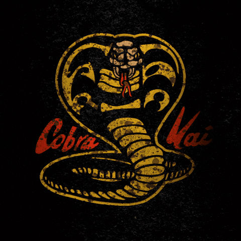 Cobra Kai Kid GIF by Todd Rocheford