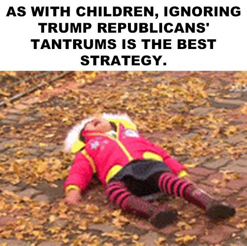 Meme gif. Angry Tantrum Girl on the ground kicking and screaming. Text, "As with children, ignoring Trump Republicans' tantrums is the best strategy.