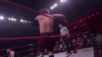 Wrestling GIF