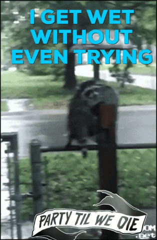 Rain GIF