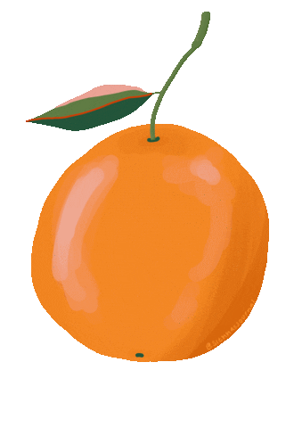 Siennasjournal Gif Orange Fruit Sticker Citrus Cute Art Drawing Ig Procreate Instagram Story Sticker Sticker