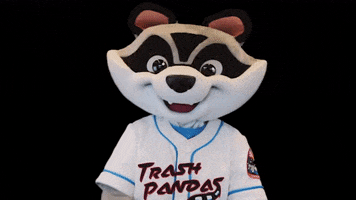 Point Raccoon GIF by Rocket City Trash Pandas