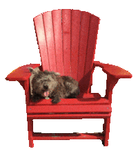 exposuresocial Sticker