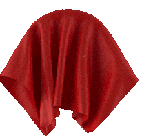 Angela James Sticker