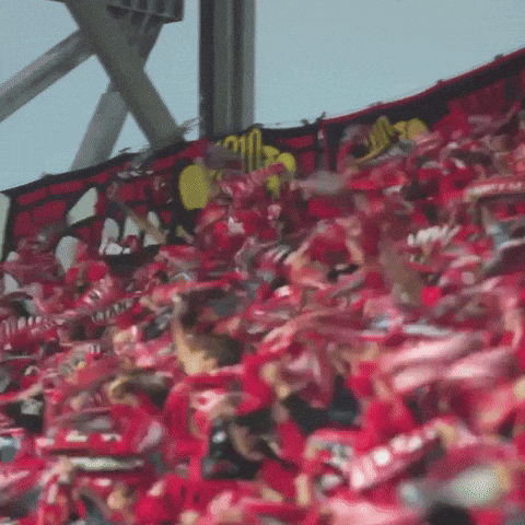 Football Soccer GIF by Widzew Łódź