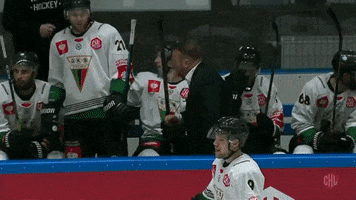 Gks Tychy Fist Bump GIF by Champions Hockey League