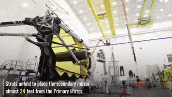 Mirror Webb GIF by NASA